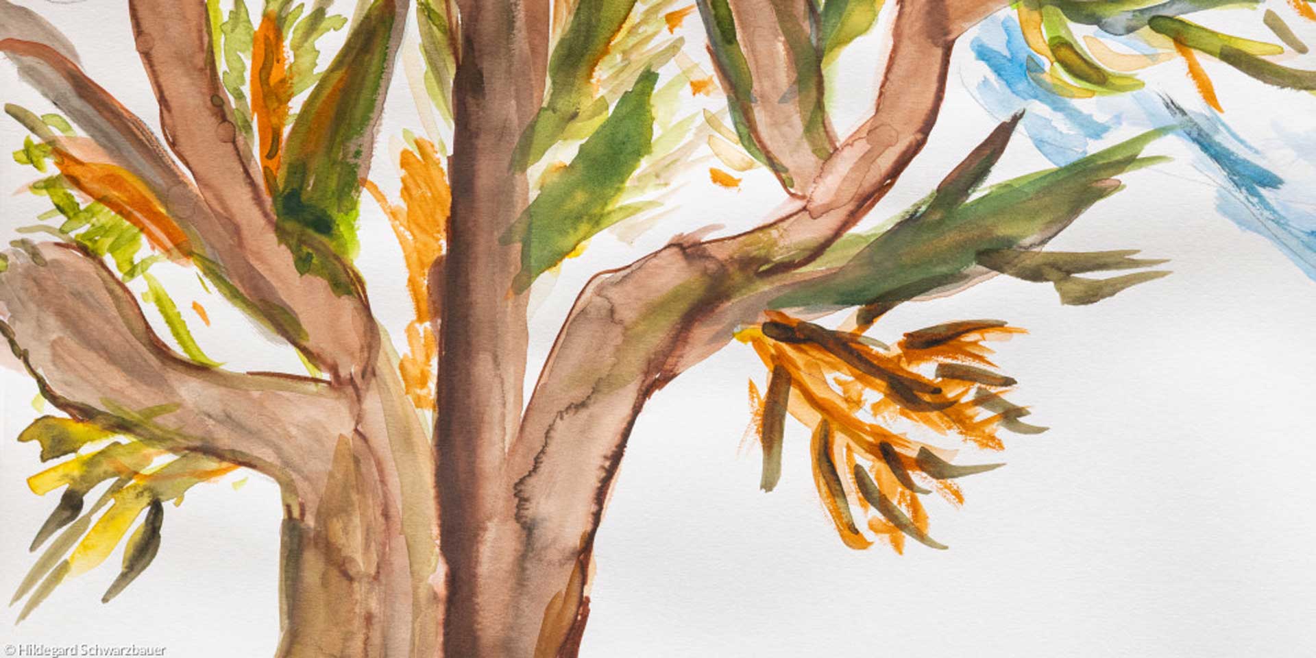 Das Titelbild der Broschüre 'Menschen mit Demenz' von Hildegard Schwarzbauer.